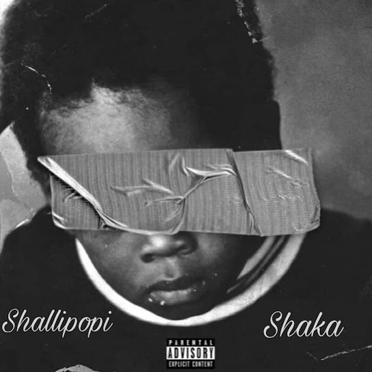 Shallipopi - Shaka