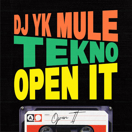 Dj Yk Mule ft. Tekno - Open It