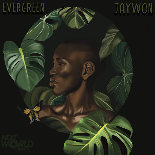 Jaywon - Aduke