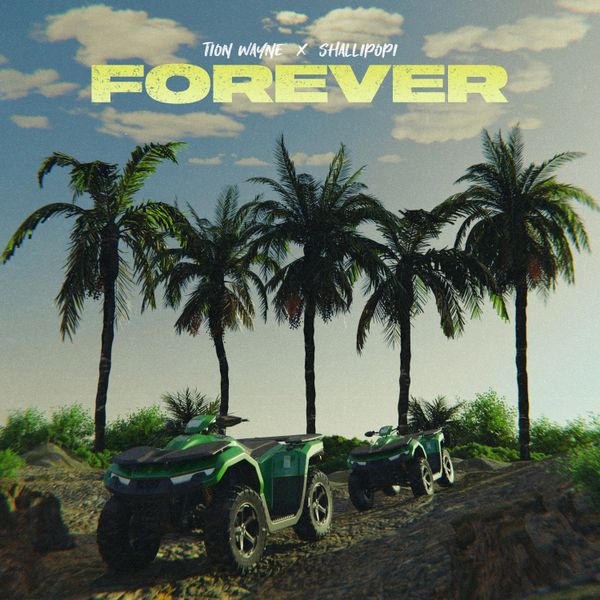 Tion Wayne ft. Shallipopi - Forever