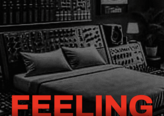 Rudeboy – Feelings