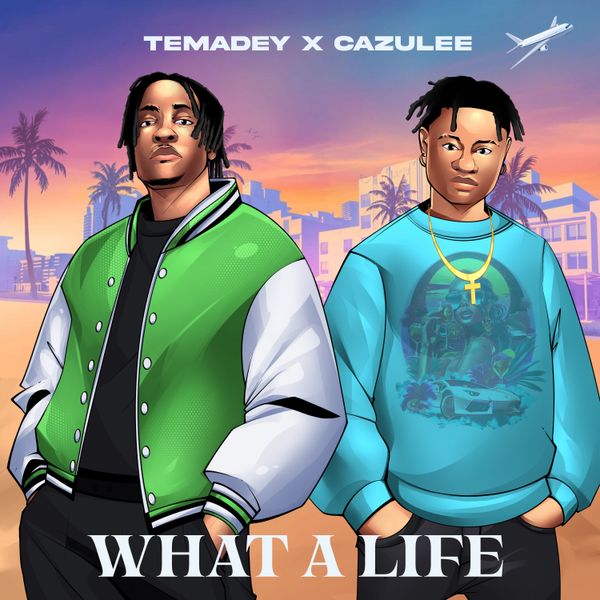 Temadey - WHAT A LIFE Ft. Cazulee